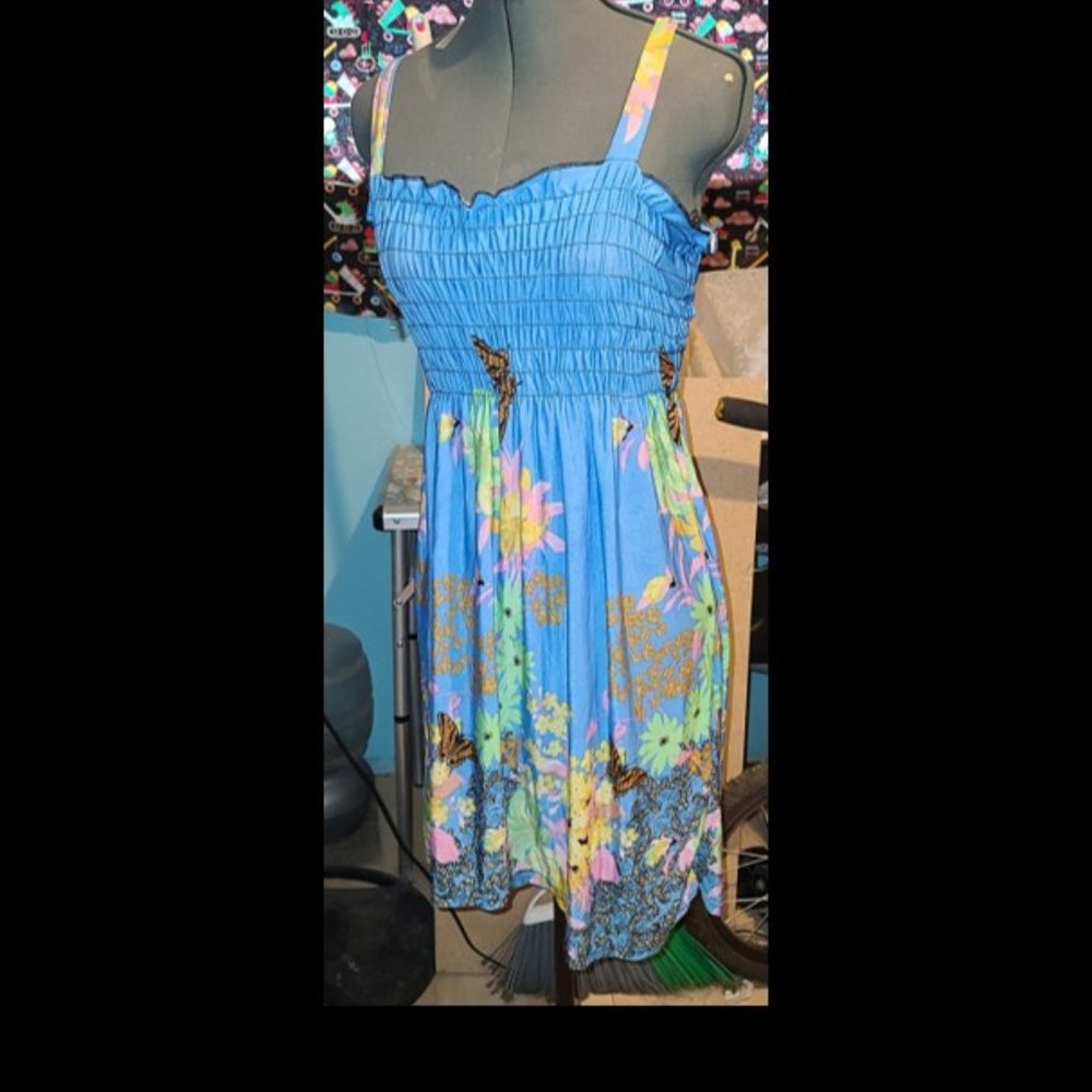 Light Blue Sun Dress with Floral and Butterfly Print By Ella (Size Large)